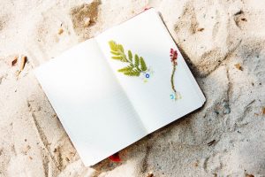 Planet-Saving School Holiday Fun For Creative Kids